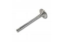 Inlet Valve – Td5 – Def 86-06/D2