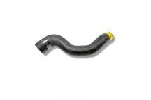 Hose Intercooler R/h Upper R/R Sport 3.6