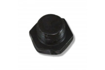 Sump Plug V8