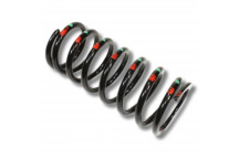 Spring Coil Rear L/H Def 110