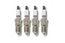 Spark Plug V6 Pet Disco 3