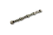 Camshaft - Assembly - Cylinder Head - 4.6 - V8 – D2/RR P38