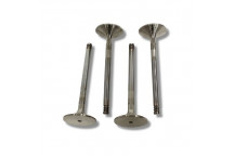 Valve Inlet 200 Tdi Def