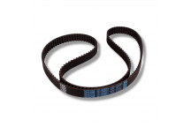 Belt Cam Front V6 Free