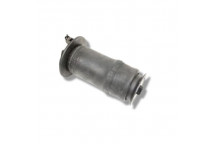 Air Spring Rear P38
