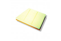 Filter Air RR Evoque & D/Sport