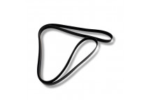 Belt Drive 4.4 V8 D 3 & Sport (Primary)