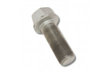 Bolt Crankshaft 300 Tdi