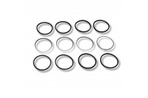 Kit Caliper Disco 1 (4 x Piston & Seals)