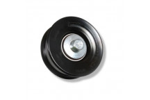 Idler Lower Primary 4.2 4.4V8 2.4 Puma