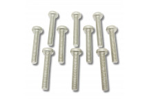 Screw Door Hinge Long 5th Door (Late)