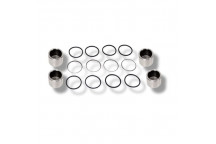 Caliper Kit Front D1