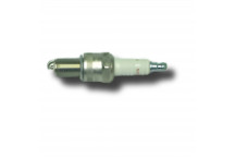 Spark Plug 2.25 & 2.5 Petrol N9YC