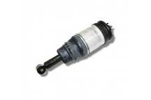 Shock Airbag Rear D3