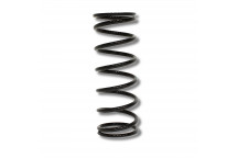 Coil Spring Front D1 & RRC