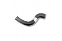 Hose Intercooler R/H Upper 3.6 V8 B/Body