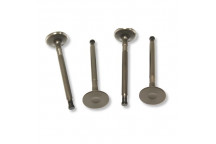 Valve Exhaust 3.9 V8