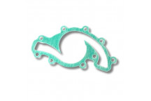 Gasket Water Pump (Stc4378)