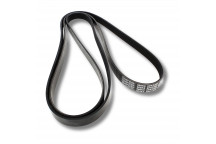 Belt Drive 5.0 V8 S/C & D4 (Primary)