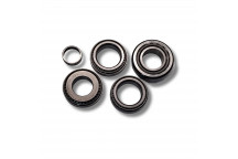 Bearing Kit Diff Disco 3 Rear