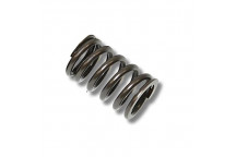Valve Spring All V8S