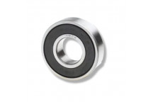 Bearing Fan 2.4 Puma