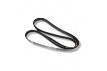 Belt Drive 4.2V8 S/C Sport (Primary)