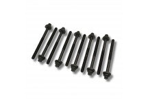 Bolt Set – Cylinder Head- F1 – Td4 (10)