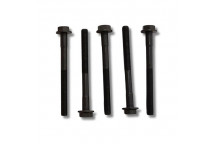 Bolt Cylinder Head 300 Tdi [10]