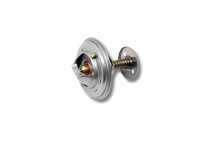 Thermostat 3.6 Tdv8