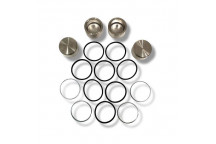 Caliper Kit Def Front Pistons And Seals