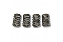 Valve Spring 300 Tdi