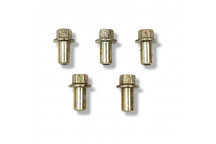 Bolt Tappet Cover 300 Tdi