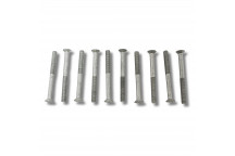 Screw Door Hinge Rear Passanger Upper