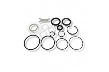 Main Seal Kit P/S Box D2