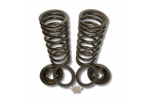 Coil Spring Conv/Kit D2 Rear