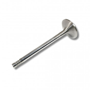 Inlet Valve – Td5 – Def 86-06/D2