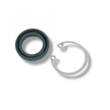 Seal Kit Input Shaft P/S Box D2