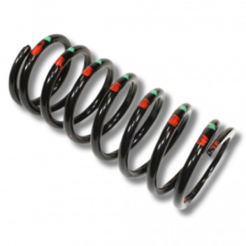 Spring Coil Rear L/H Def 110