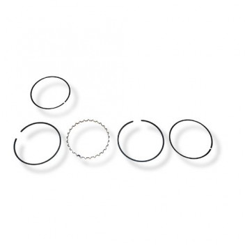 Ring Set 2.25 & 2.5 Pet .20 each