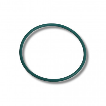 O-Ring Injector Punp 2.4 Puma