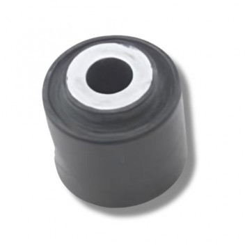 Bush Control Arm Rear D2