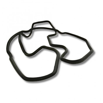 Gasket Cam Cover 200 Tdi