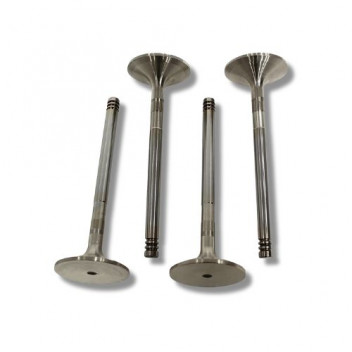 Valve Inlet 200 Tdi Def