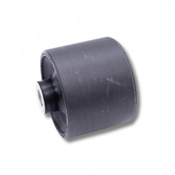 Bush Radius Arm Frt P38