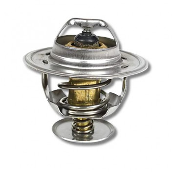 Thermostat 200 Tdi (88*)