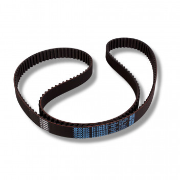 Belt Cam Front V6 Free