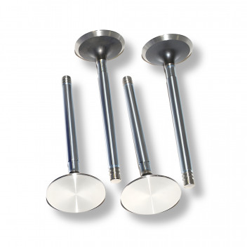 Valve - Inlet - Diesel - Def 83-06