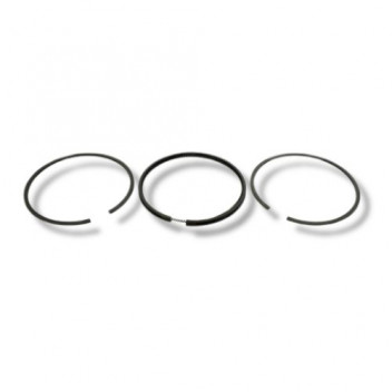 Ring Set 2.25 & 2.5 Pet Std each