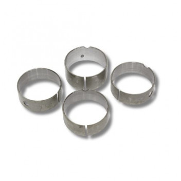 Cam Bearing Set 300Tdi